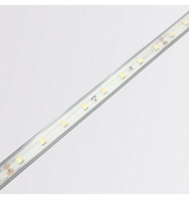 Tira LED Monocolor 4.3W/m, 24V. SMD2835, 157lm/w, 64 LEDs/m. 5 metros, IP65 EG