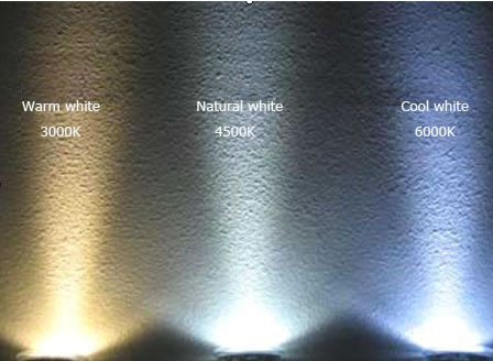 Travieso Talla He reconocido tonalidades luz led - Ecoluz LED